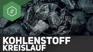 Kohlenstoffkreislauf – Stoffkreisläufe 3 [upl. by Sane]