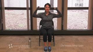 LowIntensity Seated Cardio Work Out  The Great Slim Down [upl. by Cy559]