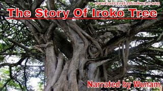 The Story Of The Iroko Tree [upl. by Nonnad]